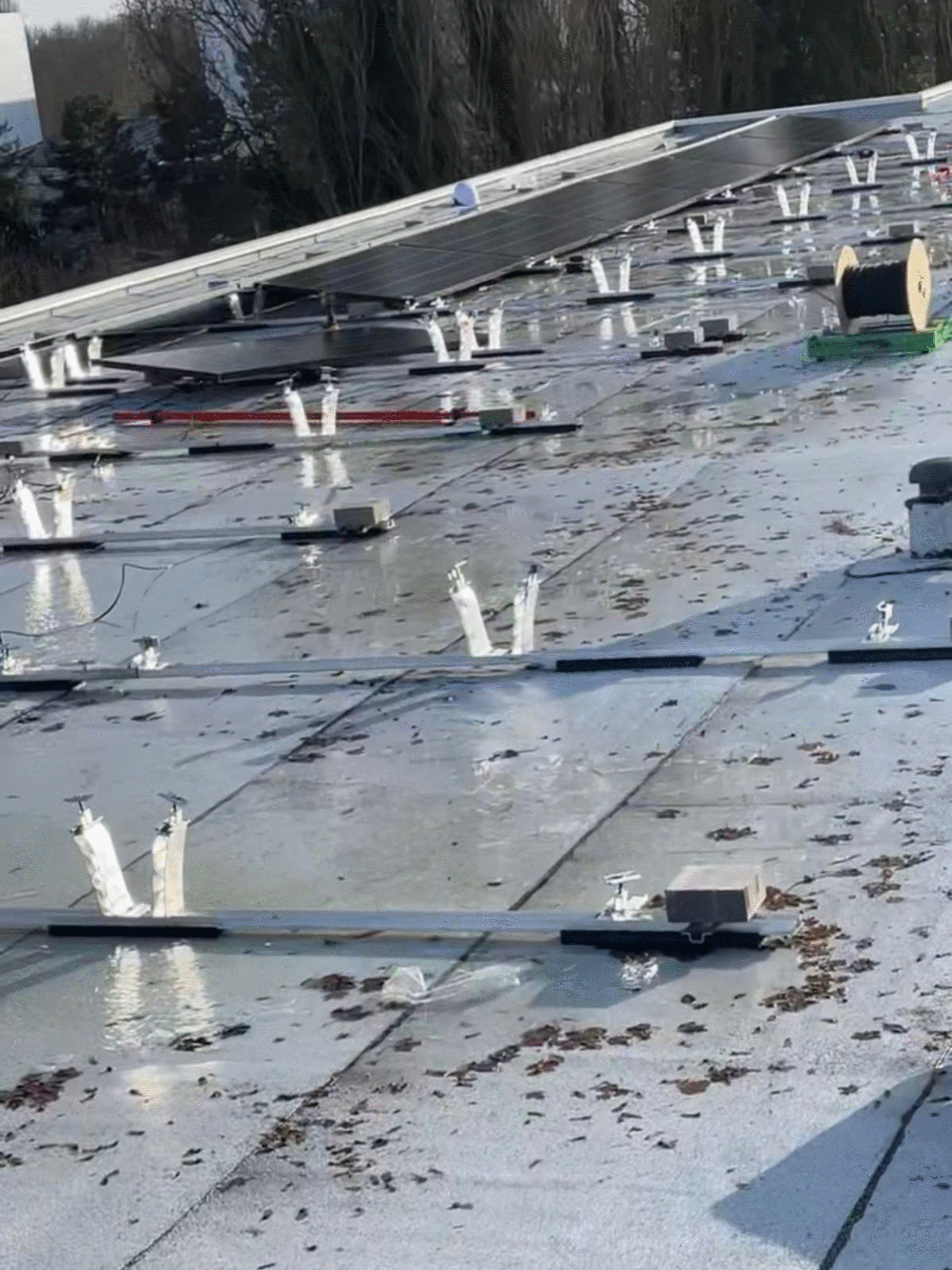 Carousel - Solaire 4